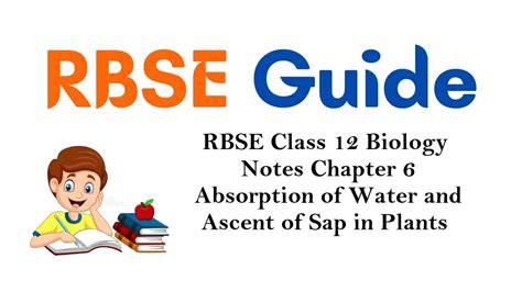 Rbse Class 12 Biology Notes Chapter 6 Absorption Of Water And Ascent Of