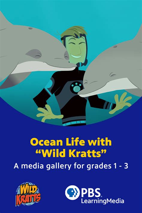 Ocean Life Clips Wild Kratts Pbs Learningmedia Wild Kratts