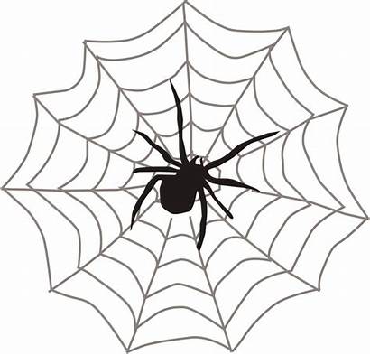Spider Web Arachnid Silhouette Graphic Vector Pixabay