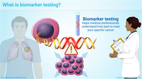 Slide Show Understanding Biomarker Testing In Non Small Cell Lung Cancer