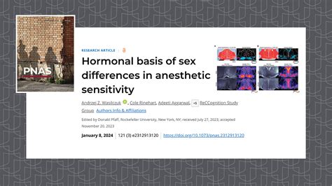 Understanding The Sex Based Differences In Anesthetic Sensitivity