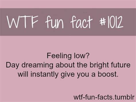 1000 Images About Fun Facts On Pinterest