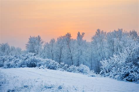 Winter Sunset Free Stock Photo Public Domain Pictures