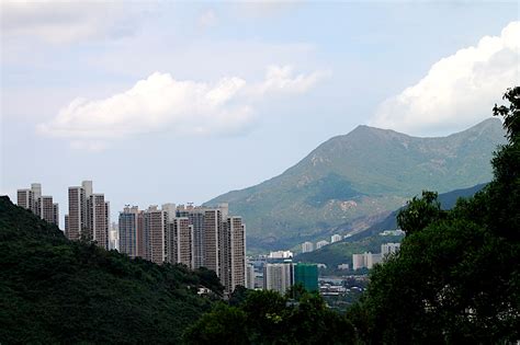 Hong kong hong kong special administrative region of the people's republic of china (hksar). 沙田道風山 | 誰伴我闖蕩?