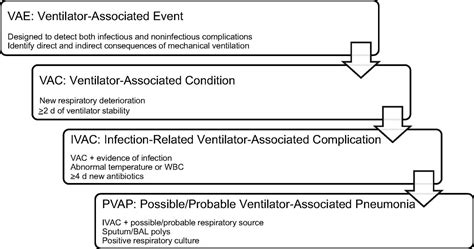 Airway Management And Ventilator Associated Events Respiratory Care