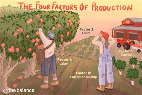 What Are The 4 Factors Of Production In Economics