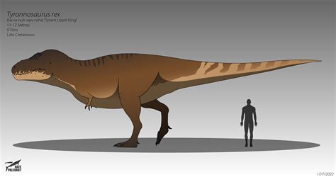 Artstation Tyrannosaurus Rex 2022 Reconstruction