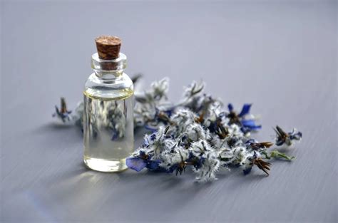 The Benefits Of Incorporating Aromatherapy Into Your Daily Routine By Ben Jacobs Medium
