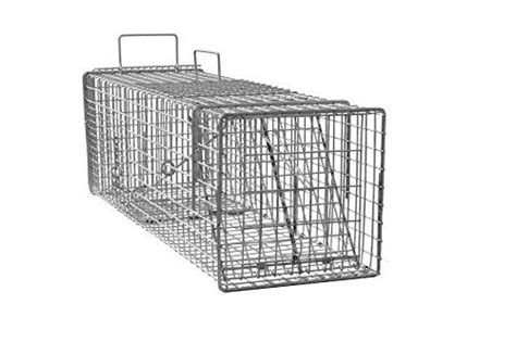 Amagabeli humane live animal trap 31x10.5x11.5 catch release cage for nuisance rodents control. Northern Industries Compact Live Trap for Cats