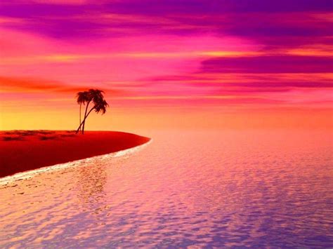 Purple Tropical Sunset Beach Wallpapers Top Free Purple Tropical