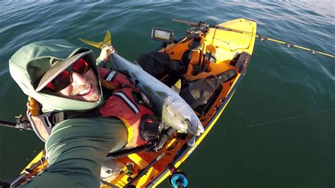 California Yellowtail Released Kayak Fishing San Diego Youtube
