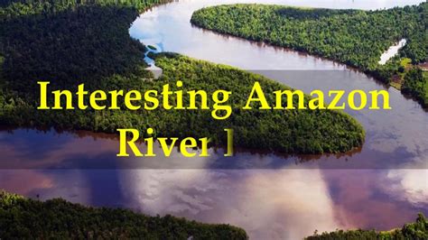 Interesting Amazon River Facts Youtube