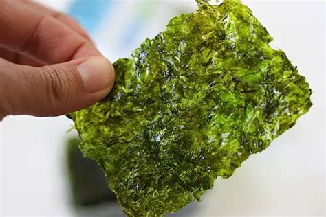 What Are The Benefits Of Eating Seaweed