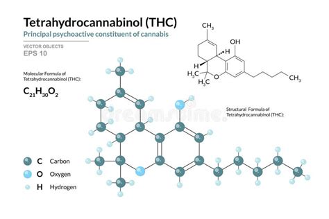 Thc Tetrahidrocannabinol Constituyente Psicoactivo Del Cannabis