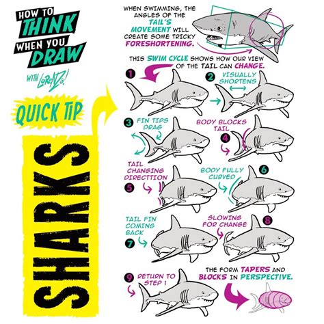 Etheringtonbrothers On Twitter Sharks From The Howtothinkwhenyoudraw
