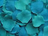 Images of Turquoise Flower Petals