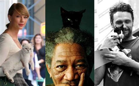 12 Celebrities Who ️ Cats Modkat