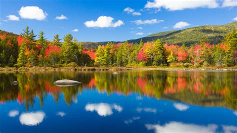 Fall Foliage England