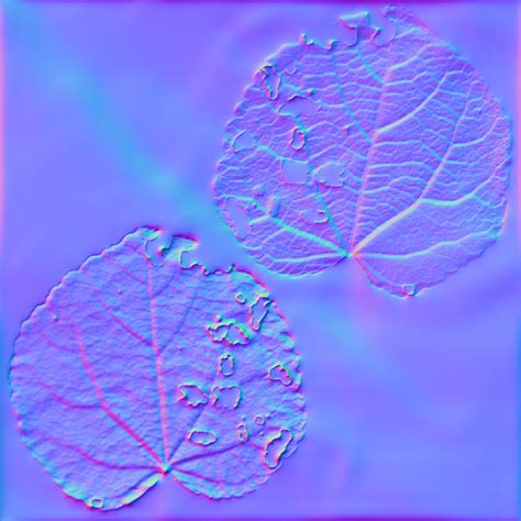 Leaf Nibbled 01 Free Pbr Texture From