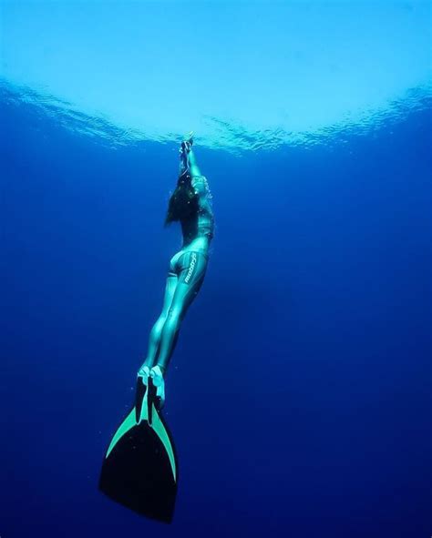 Freediving Scuba Diving Photography Underwater Photos Underwater