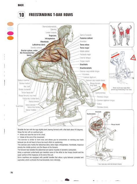 Strength Training Anatomy 4th Edition Pdf