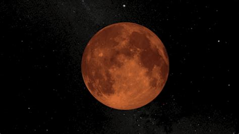 Find funny gifs, cute gifs, reaction gifs and more. Look Up: Super Blue Blood Moon Total Lunar Eclipse January ...