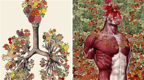 Collages Anatómicos De Travis Bedel Pop Picture