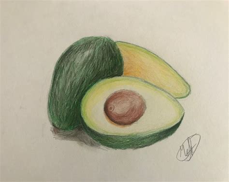 Avocado Realistic Drawing With Colored Pencils Small Online Class For