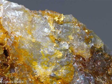 Alex was able to look him in the eye to prove dominance over him and managed to kill him. Gold Mineral Specimen For Sale