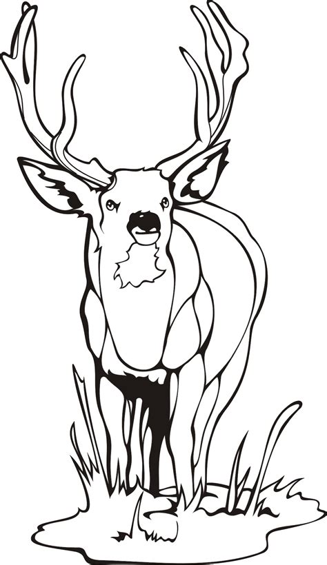 10 wildlife hunting coloring pages for your naughty kids. Deer Coloring Pages | Free download on ClipArtMag