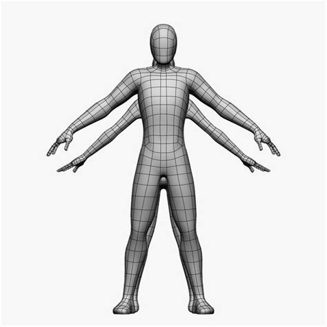 Human body base mesh 10 3d models pack. 83 best 3D Human body wireframe references images on ...