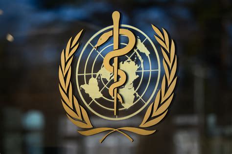 The world health organization (who) is a specialized agency of the united nations responsible for international public health. A Brief History Of The World Health Organization - CITI I/O