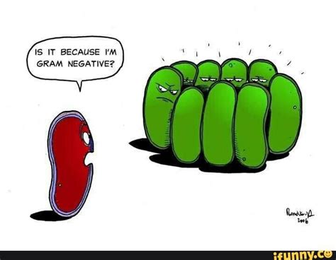 Image Result For Microbiology Funny Pictures Lab Humor Biology Humor