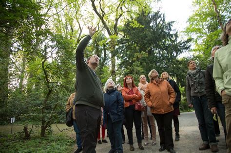 We did not find results for: Botanischer Garten Rombergpark | Klüngel Stammtisch Dortmund