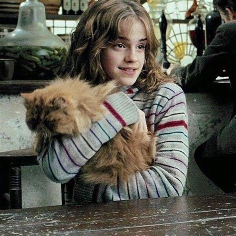 Hermione And Her Cat Harry Potter Amino