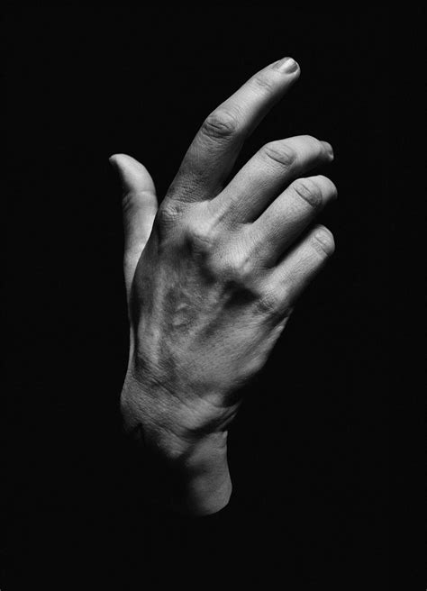 Artizan Hand Reference Hand Photography Anatomy Reference