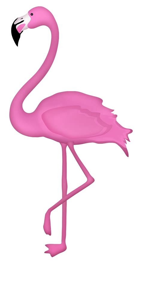 Flamingo Png Clipart Png Mart