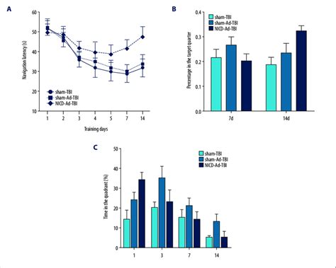 The Alteration Of Spatial Learning And Memory In Model Rats After Tbi