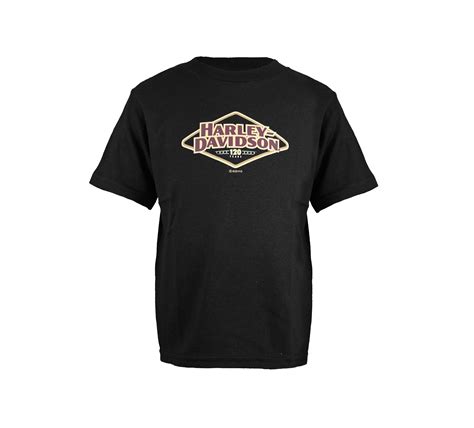 Toddler Boys 120th Anniversary T Shirt Harley Davidson Usa