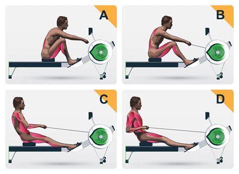 Rowing Machine Benefits Explained Home Fitness Life