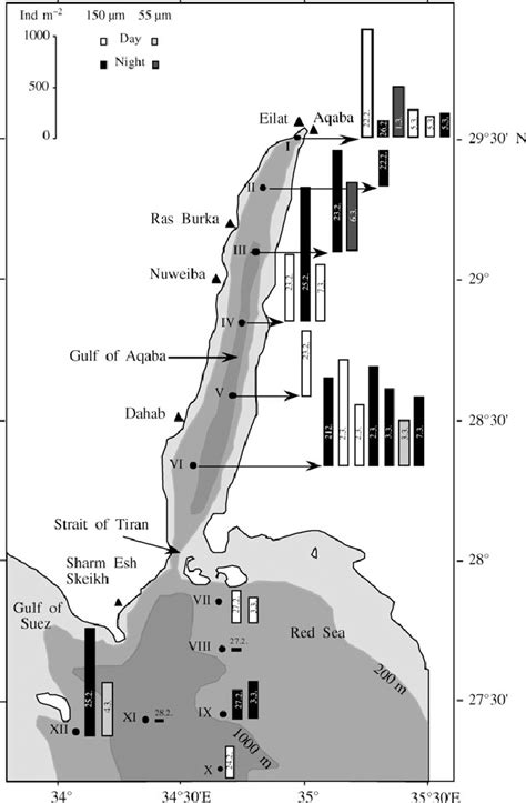 Map Of Gulf Of Aqaba And The Northern Red Sea Showing Positions Roman
