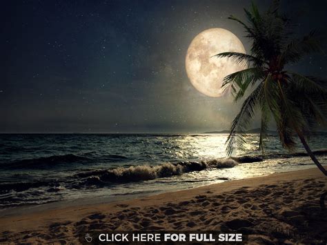 Night Beach Tropical Landscape Wallpapers