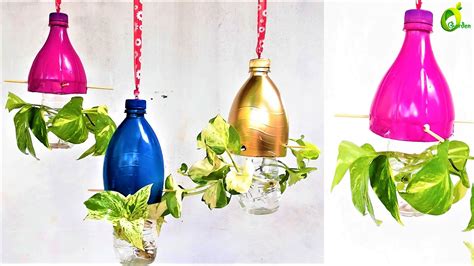 Pachira money plant care & growing instructions. money plant | Water plants, Money plant, Plastic bottle ...