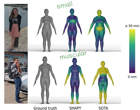 accurate 3d body shape regression using metric and semantic attributes perceiving systems