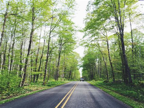 Free Stock Photo Of Forest Highway Road