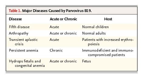 Parvovirus B19 Nejm