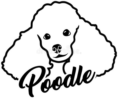 Poodle Head Stock Illustrations 1117 Poodle Head Stock Illustrations