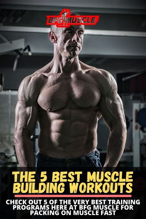 Best Muscle Building Workouts For Beginners And Advanced Lifters Best