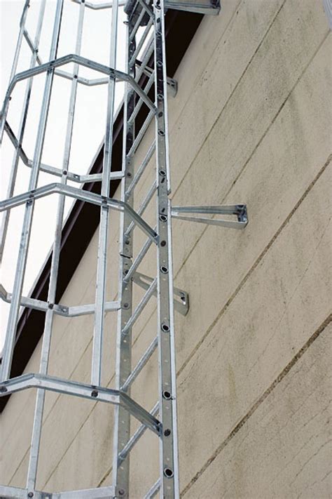 Steel And Aluminium Cat Ladders