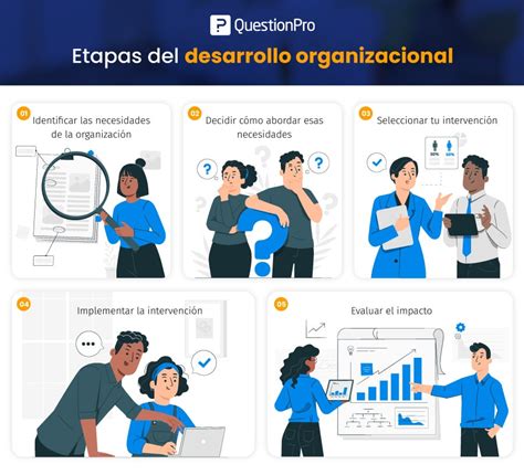 Qu Es El Desarrollo Organizacional Caracter Sticas Etapas Y Modelos